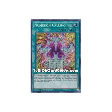 Numeron Calling (Secret Rare)