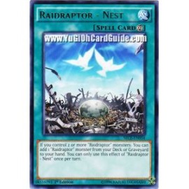 Raidraptor - Nest (Rare)