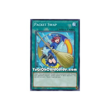 Packet Swap (Common)
