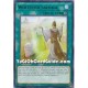 Whitefish Salvage (Rare)