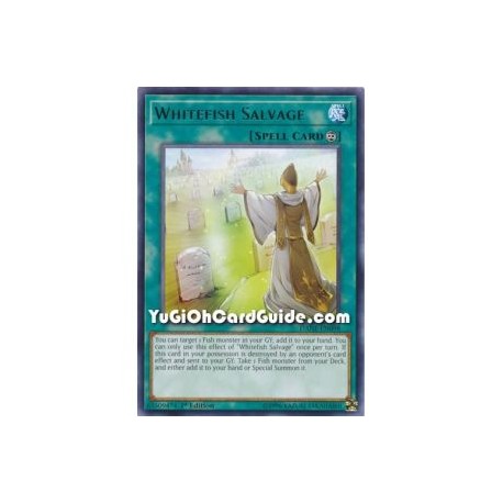 Whitefish Salvage (Rare)