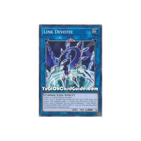 Link Devotee (Common)