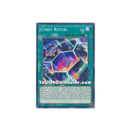 Cynet Ritual