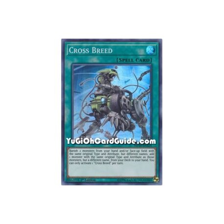 Cross Breed (Rare)