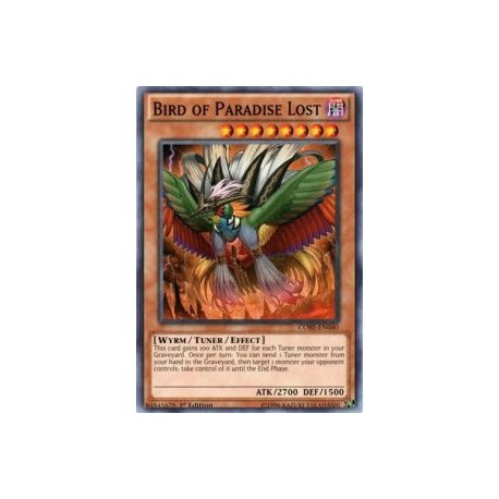 Bird of Paradise Lost