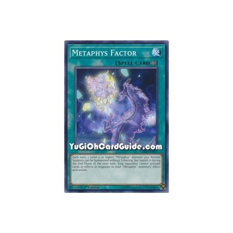 Metaphys Factor