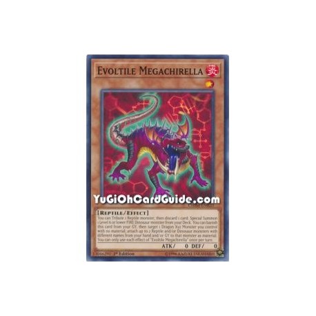 Evoltile Megachirella
