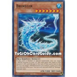 Brinegir