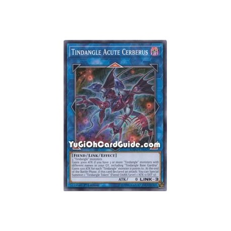 Tidangle Acute Cerberus (Common)