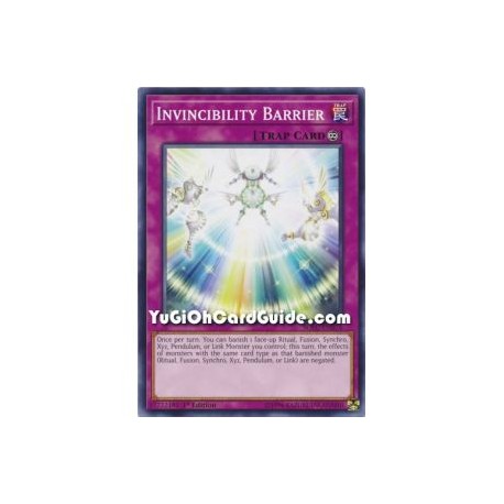 Invincibility Barrier