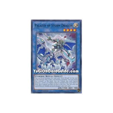 Paladin of Storm Dragon (Common)